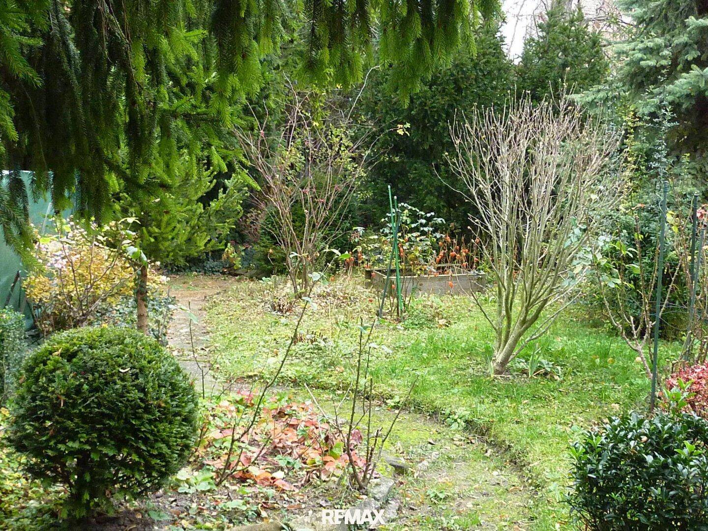 Naturbelassener Gartenbereich mit verschiedenen Pflanzen und Bäumen, umgeben von einem Zaun.