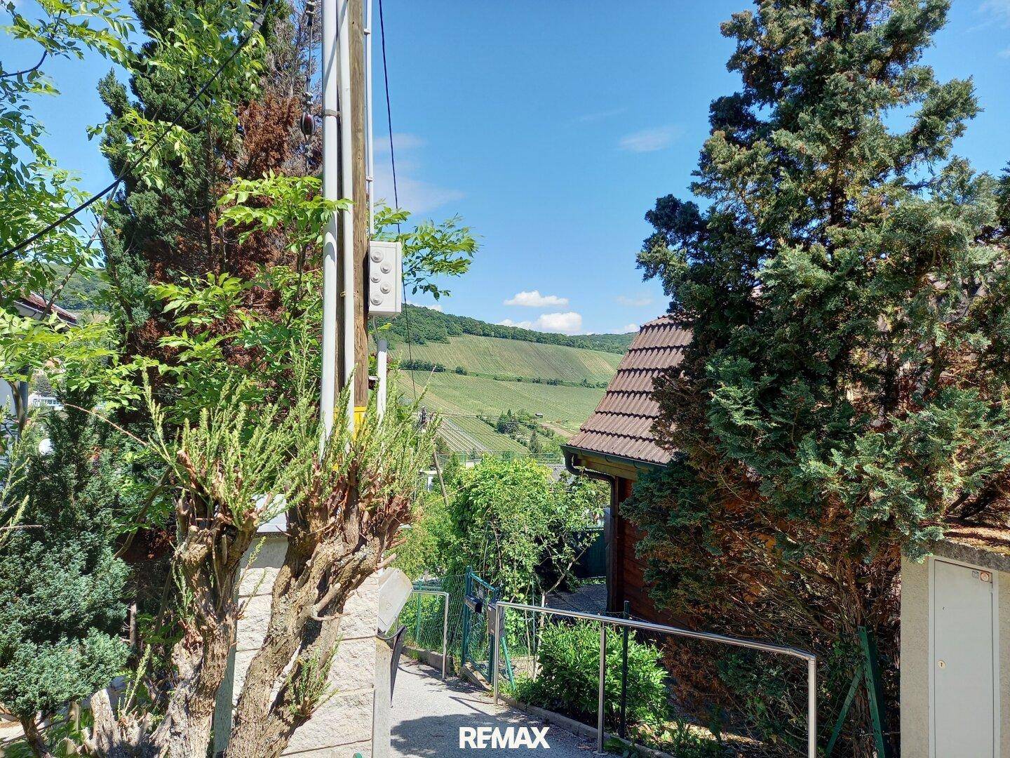 Panoramablick auf die Weinberge und die hügelige Landschaft unter blauem Himmel.