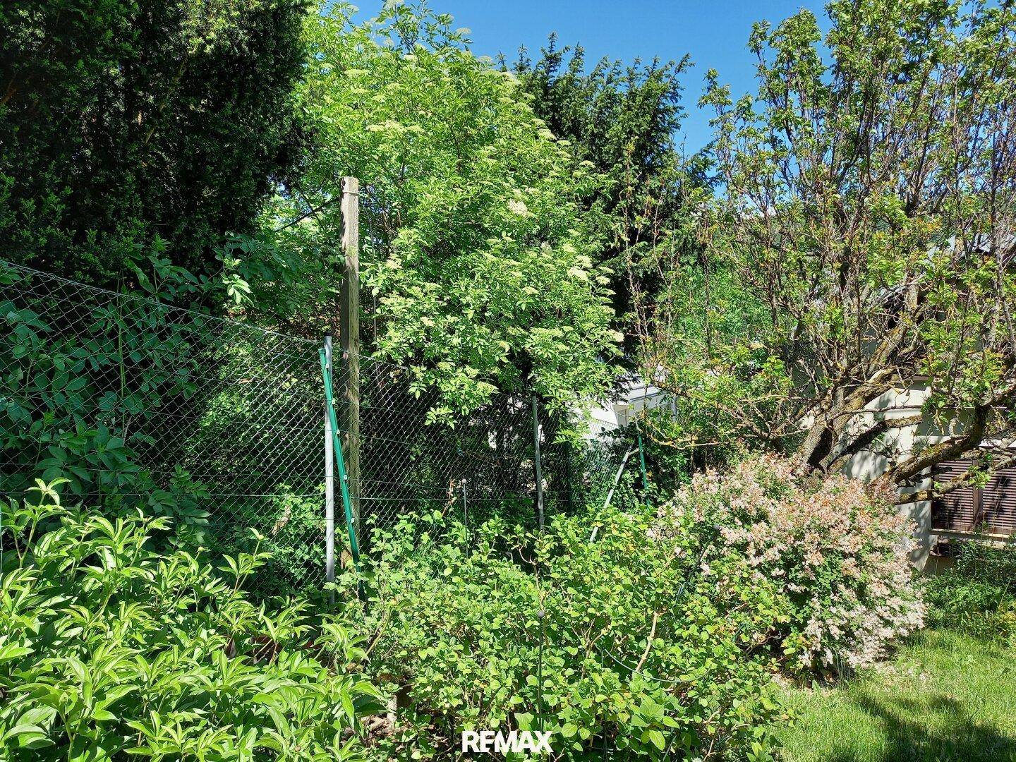 Üppiger Gartenbereich mit verschiedenen Sträuchern und Bäumen unter blauem Himmel.