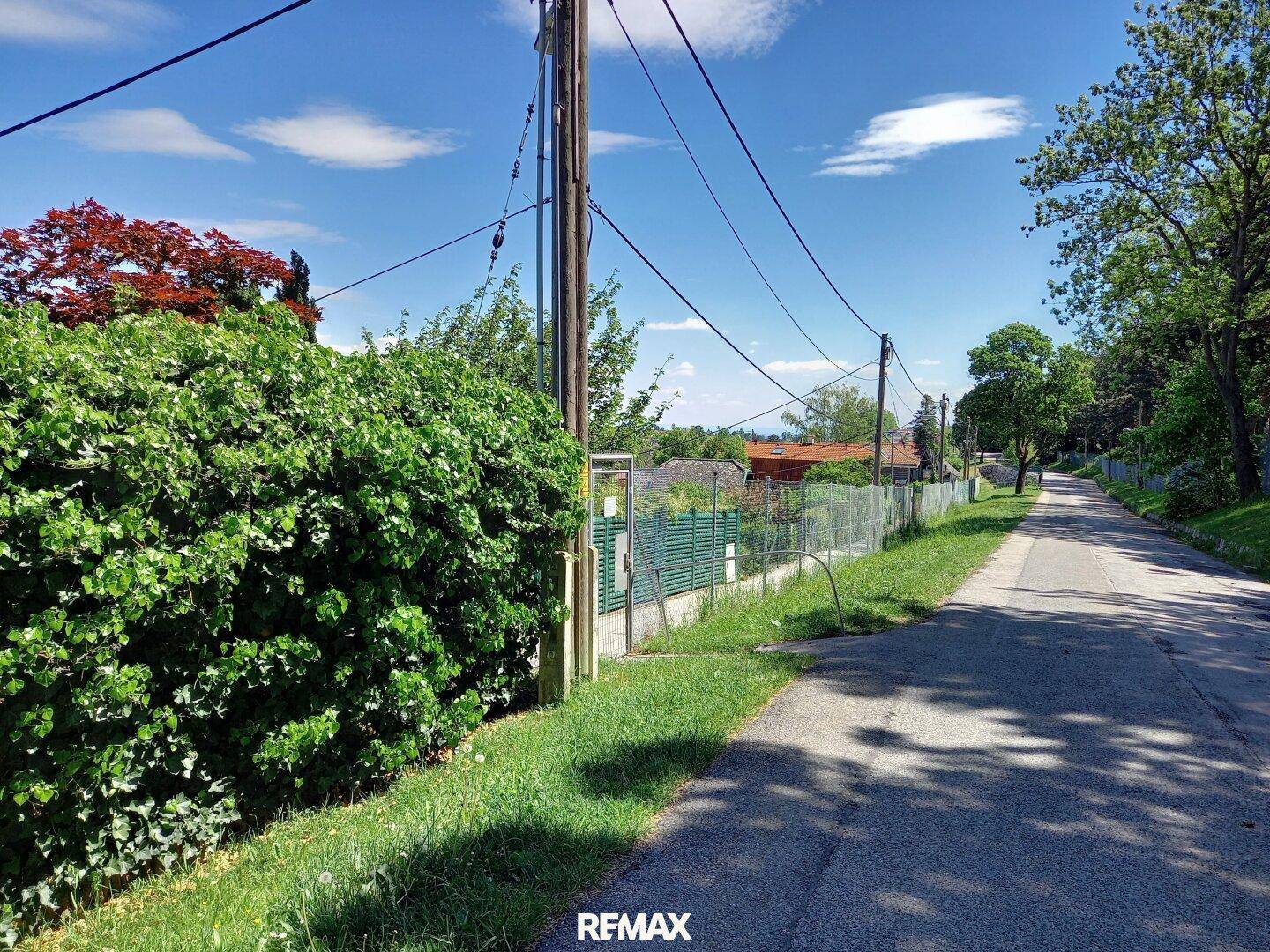 Ruhige Wohnstraße mit grünen Hecken und Bäumen an einem sonnigen Tag.