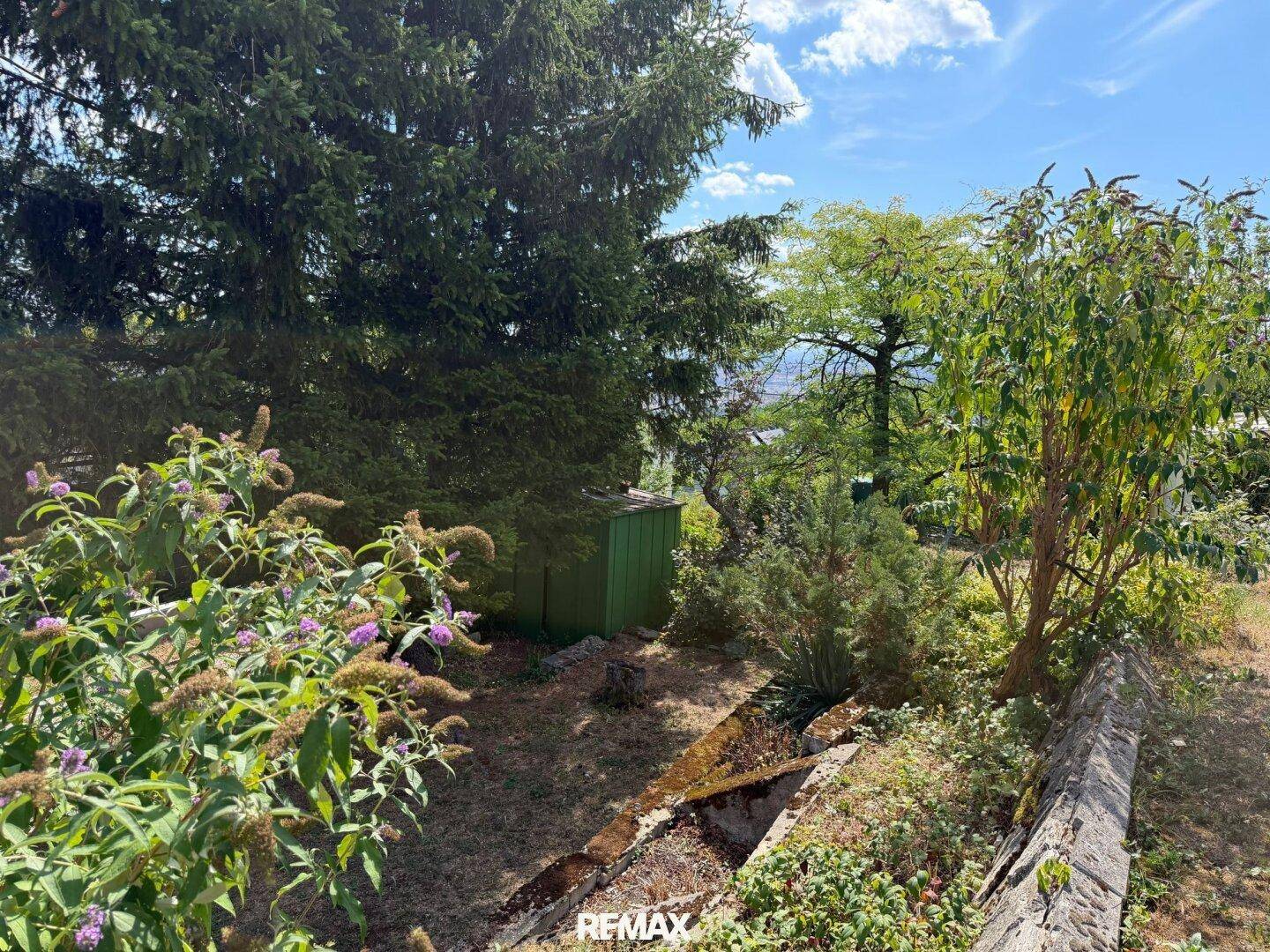 Grüner Gartenbereich mit einem kleinen Geräteschuppen und blühenden Sträuchern unter blauem Himmel.