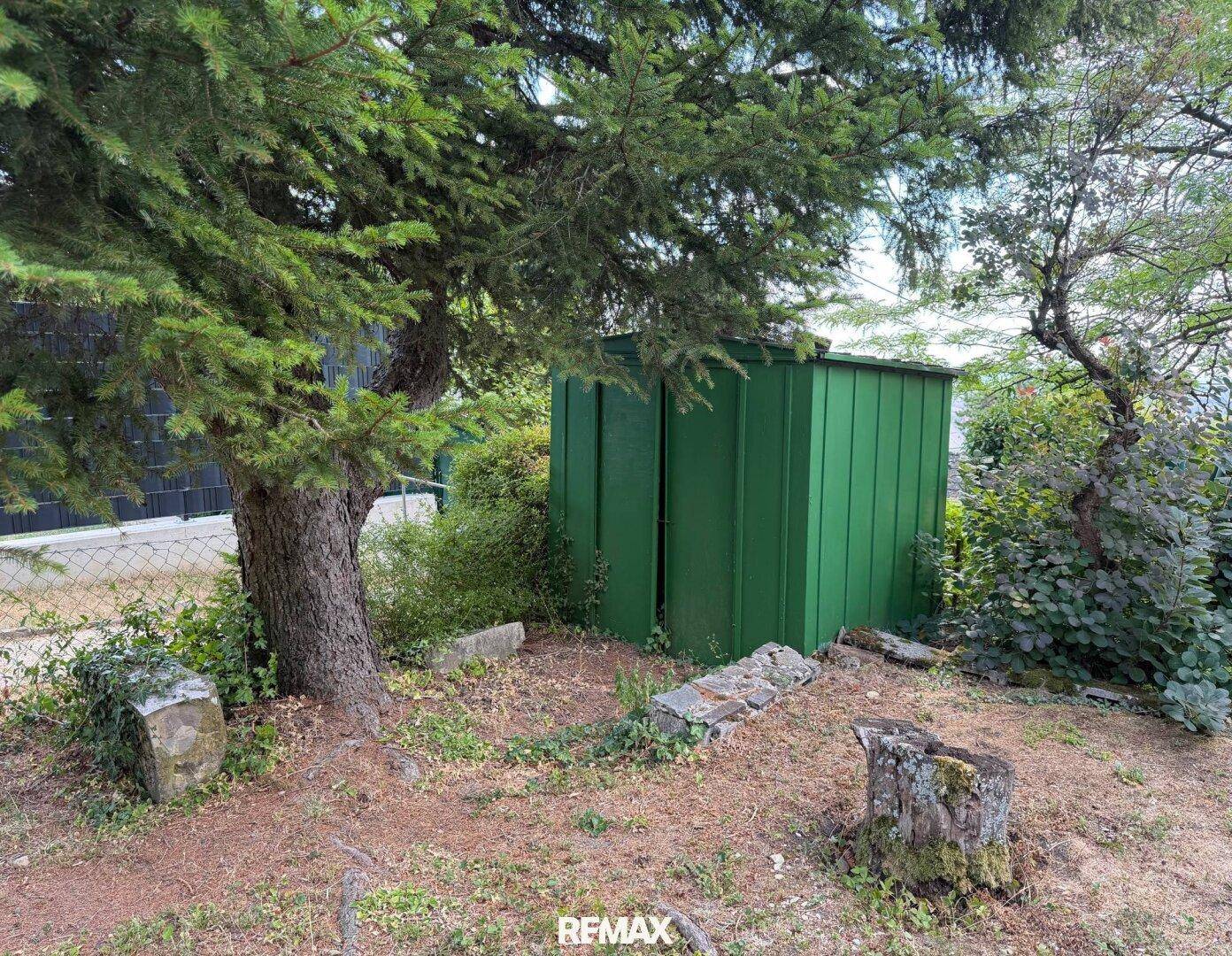 Detailansicht eines grünen Geräteschuppens im Garten, umgeben von Bäumen und Baumstümpfen.