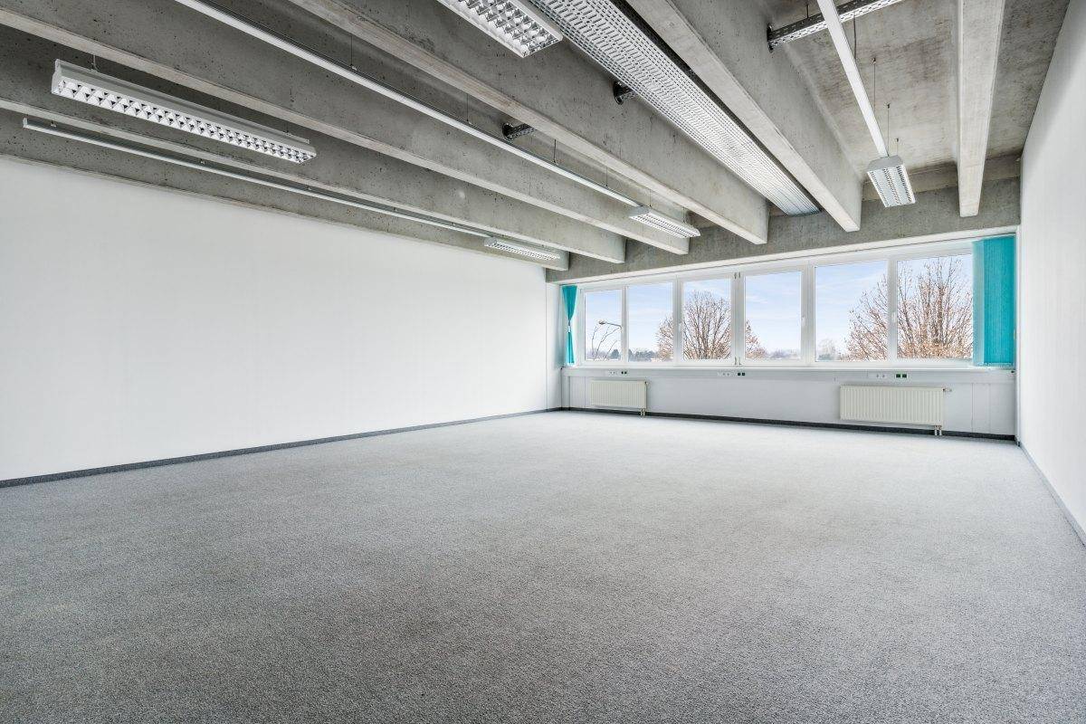 Leeres Büro mit Teppichboden, großen Fenstern und Blick ins Grüne, bereit für neue Mieter.