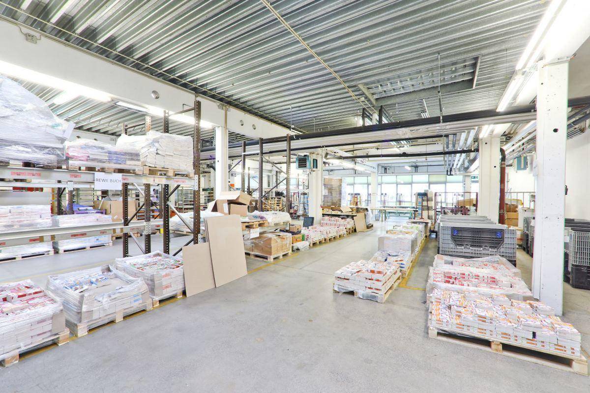 Geräumiger Lagerbereich mit hohen Regalen, Betonboden und verpackten Waren auf Paletten, gut beleuchtet.