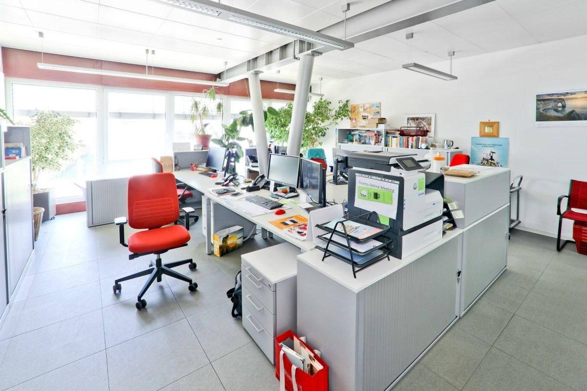 Helles Großraumbüro mit modernen Arbeitsplätzen, großen Fenstern und Fliesenboden, ausgestattet mit Pflanzen.