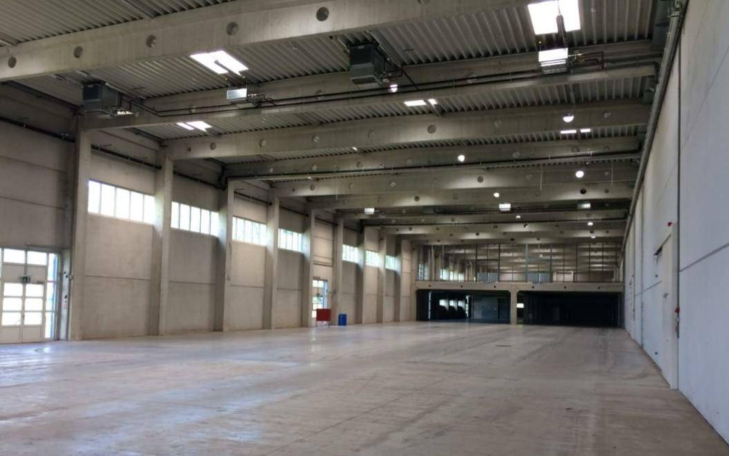Weitläufige, leere Industriehalle mit hohen Decken und Betonstützen, bietet vielseitige Nutzungsmöglichkeiten.