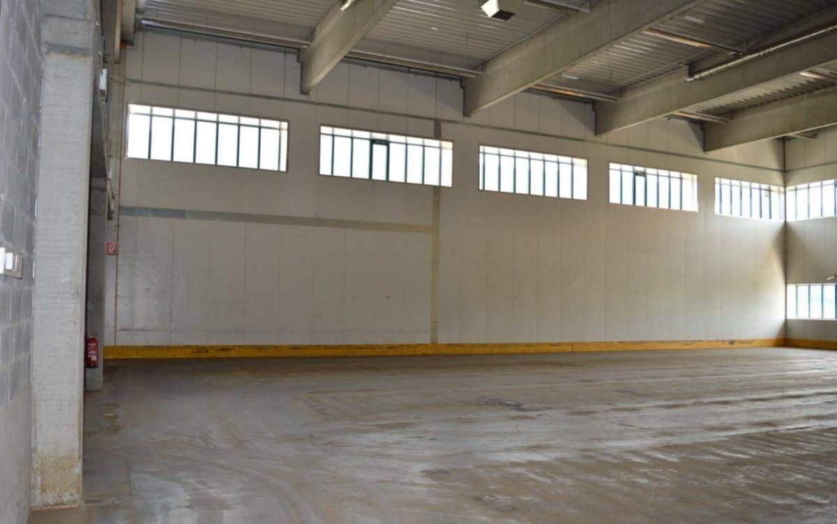 Geräumige, leere Lagerhalle mit hohen Decken und Oberlichtern, ideal für Produktion oder Lagerung.