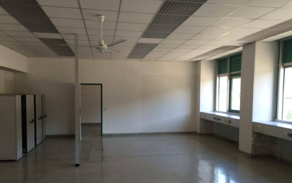 Leeres Büro mit abgehängter Decke, Deckenventilator und großen Fenstern, bereit zur Einrichtung.