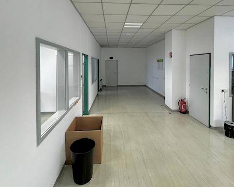 Heller Flur in einem Bürogebäude mit weißen Wänden, Rasterdecke und Fenstern zu angrenzenden Räumen.