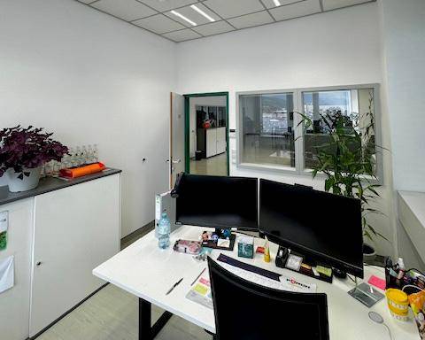 Arbeitsplatz in einem Büro mit zwei Monitoren, Pflanzen und Blick durch ein Fenster auf die Umgebung.