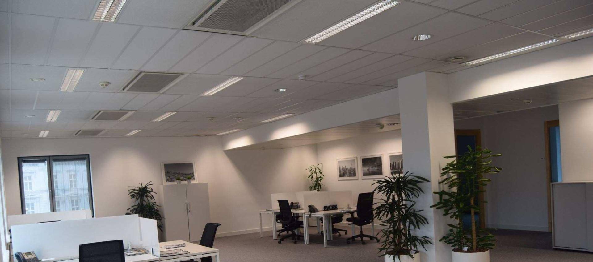 Großes, helles Großraumbüro mit vielen Arbeitsplätzen und Pflanzen zur Dekoration.