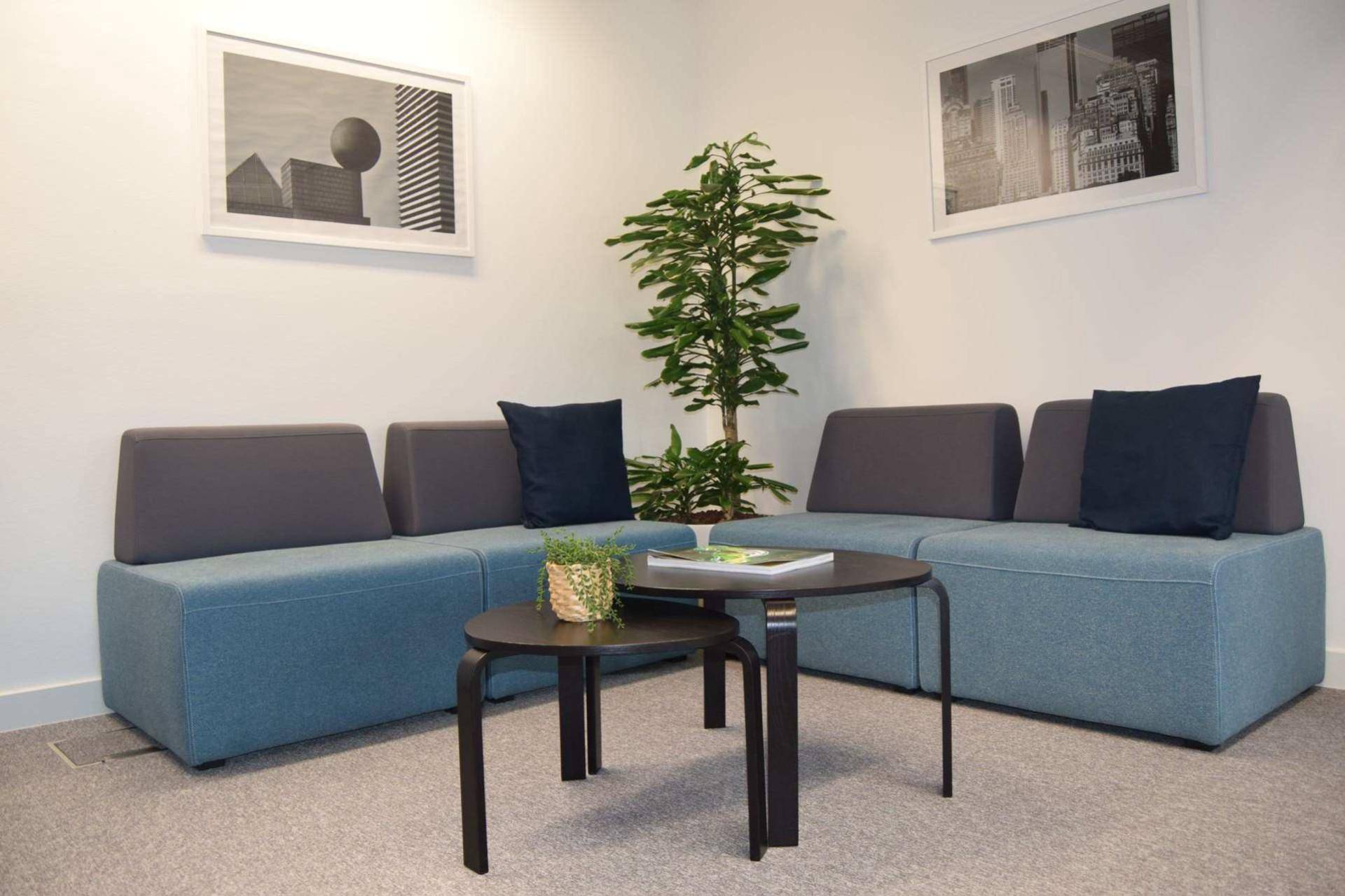 Gemütlicher Loungebereich mit modernen blauen Sitzmöbeln, Beistelltischen und Pflanzen.