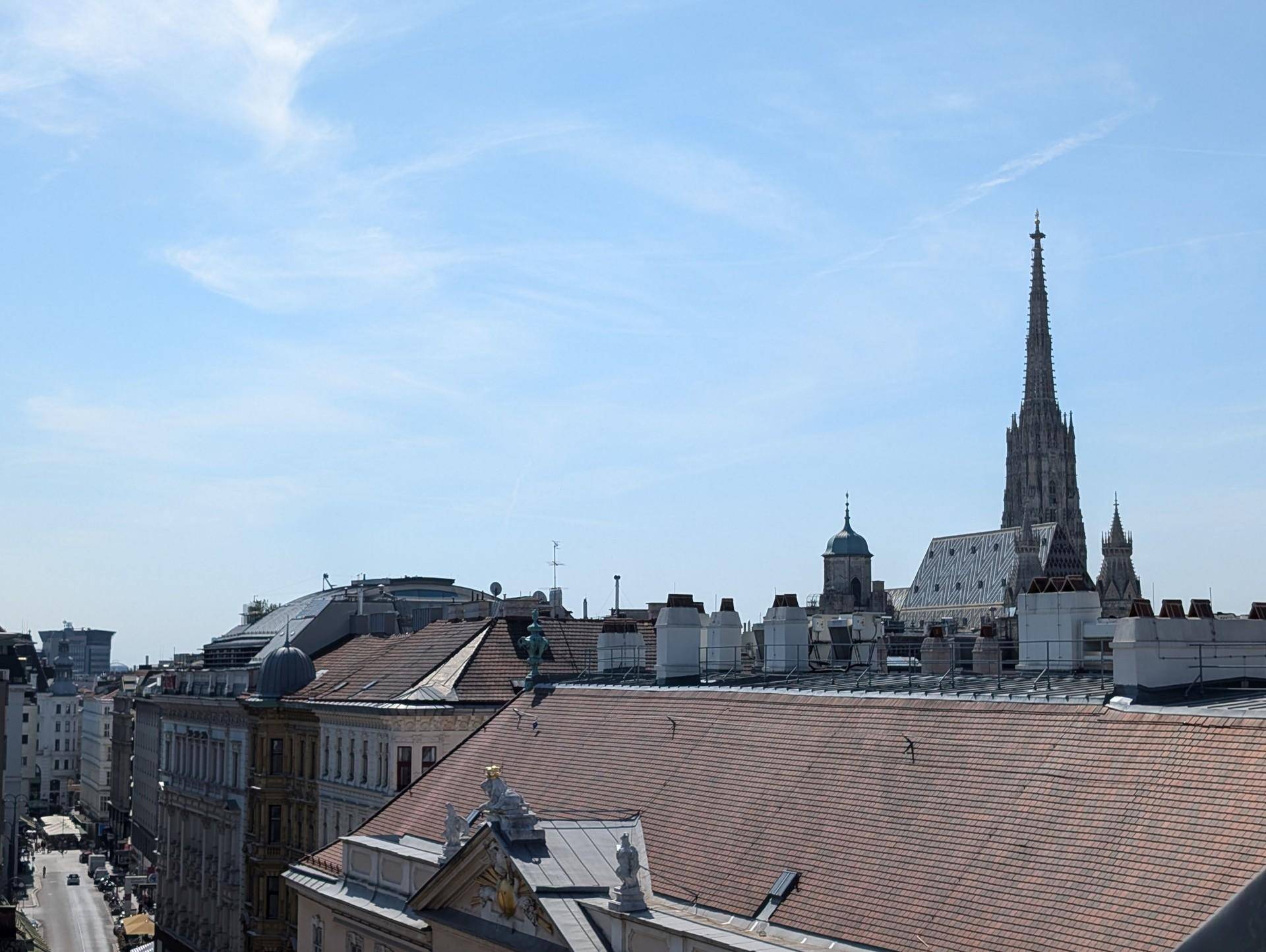 Blick Stephansdom