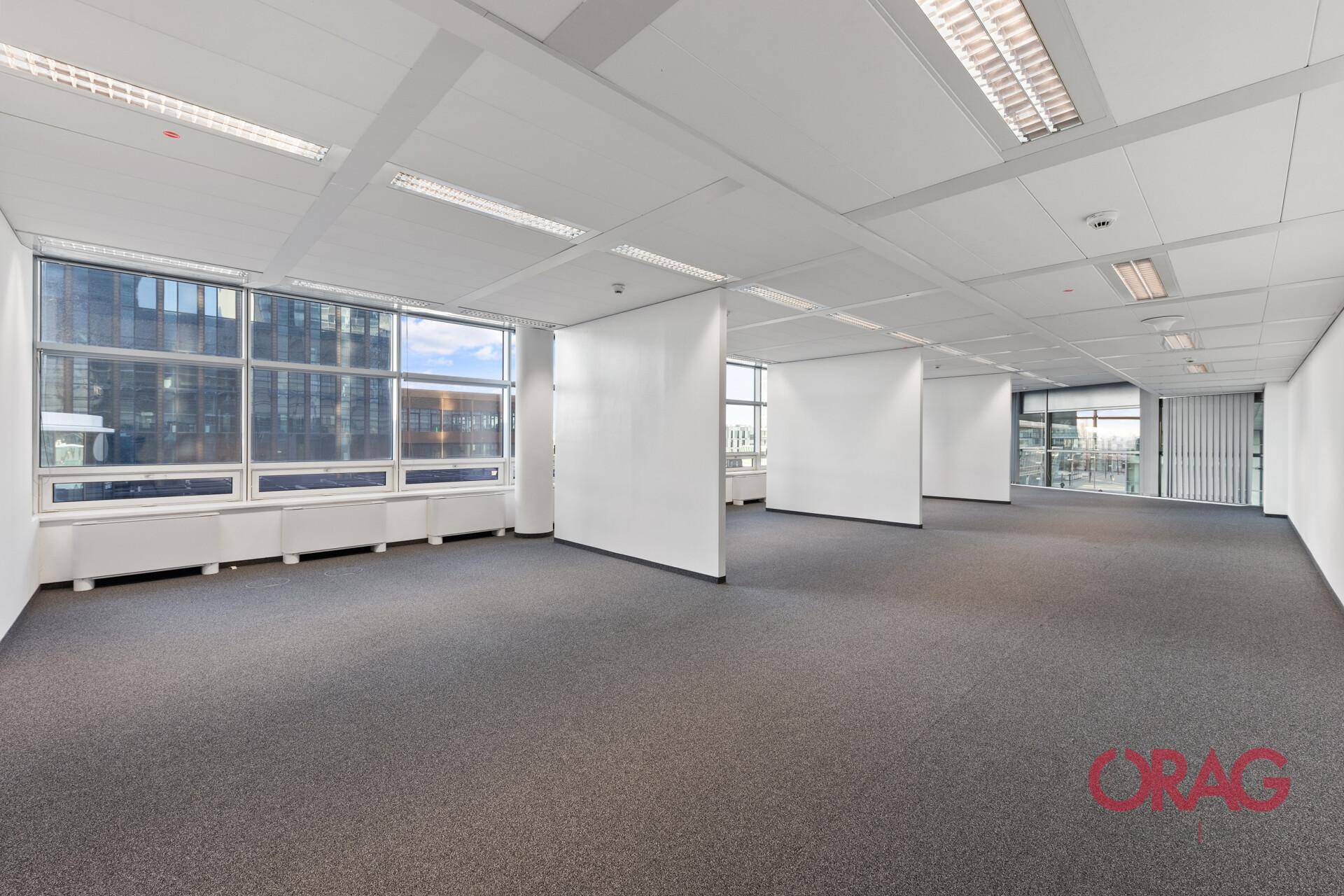 Großes, offenes Büro mit Teppichboden und modularen Trennwänden für flexible Arbeitsbereiche.