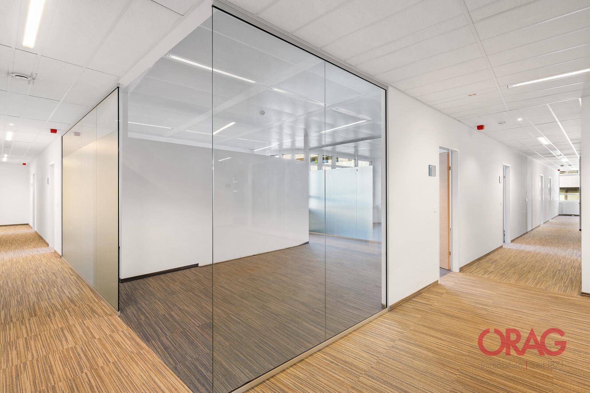 Moderner Bürogang mit Teppichboden und raumhohen Glaswänden, die Transparenz schaffen.
