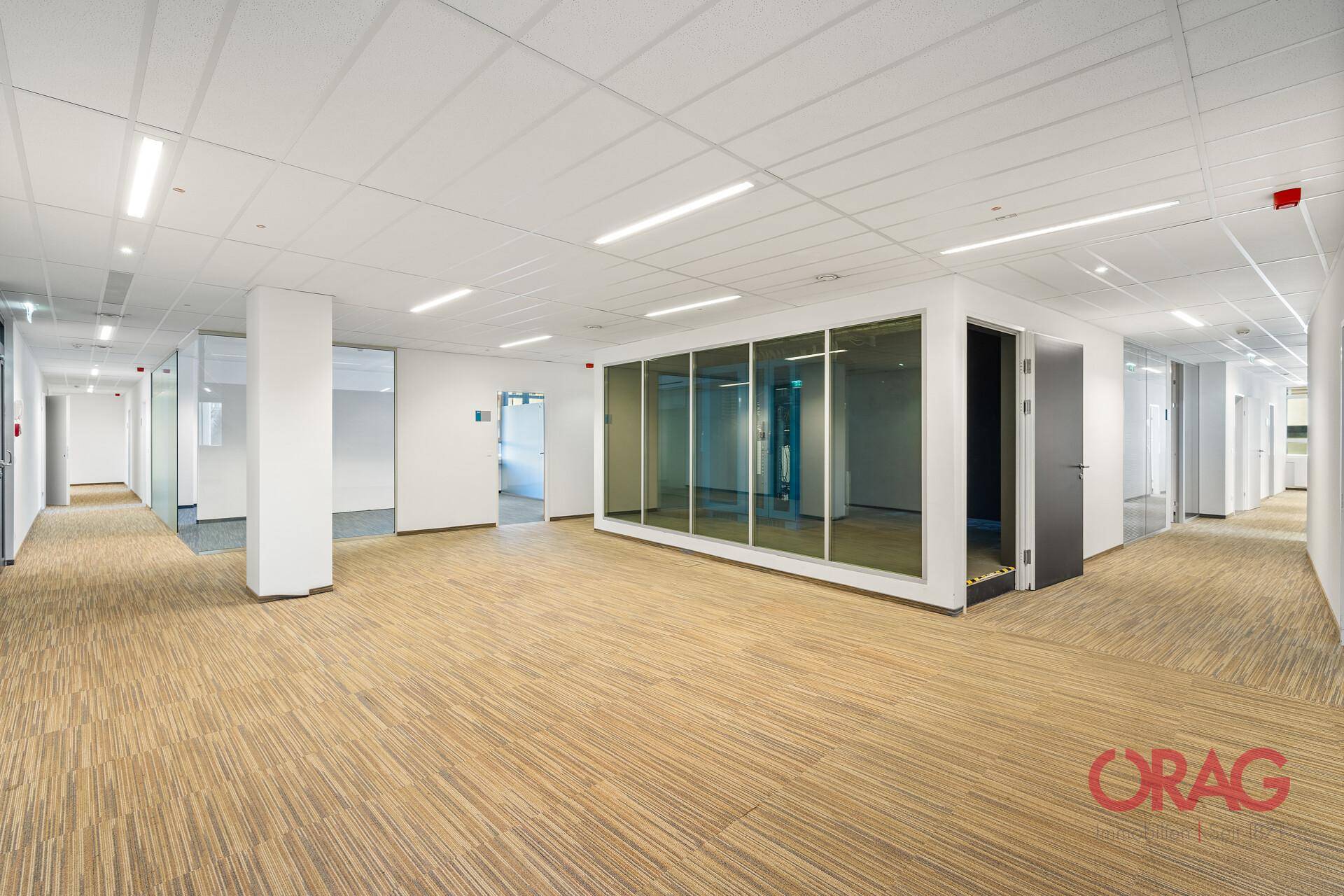 Großer, offener Bürobereich mit Teppichboden und modernen Glaswänden für separate Arbeitsbereiche.