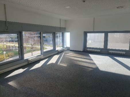 Großer, heller Büroraum mit Teppichboden und vielen Fenstern, die viel Tageslicht hereinlassen.