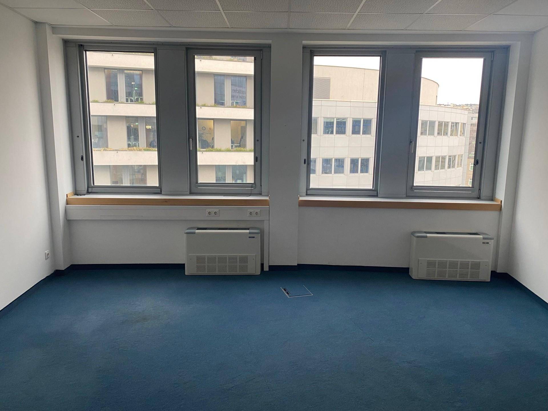 Helles Büro mit blauem Teppichboden, weißen Wänden und großen Fenstern, unmöbliert.