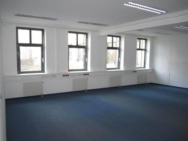 Geräumiger, leerer Büroraum mit blauem Teppichboden, weißen Wänden und mehreren Fenstern für Tageslicht.