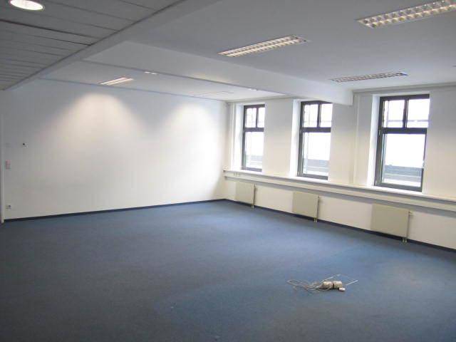 Großer, leerer Büroraum mit blauem Teppichboden, weißen Wänden und Fenstern, die viel Licht hereinlassen.