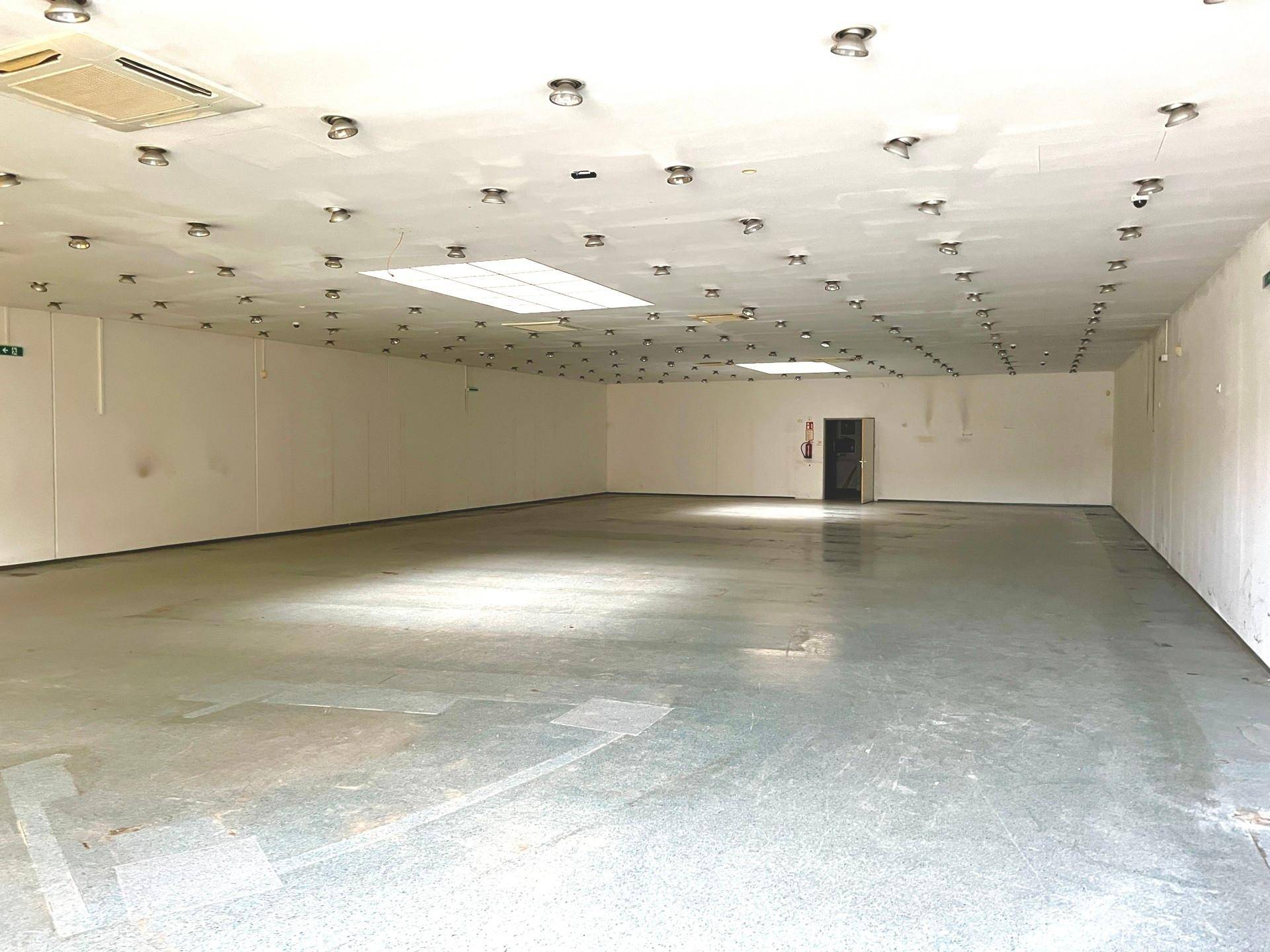 Weitläufige, leere Gewerbefläche mit Betonboden und Deckenbeleuchtung, ideal für verschiedene Geschäftskonzepte.