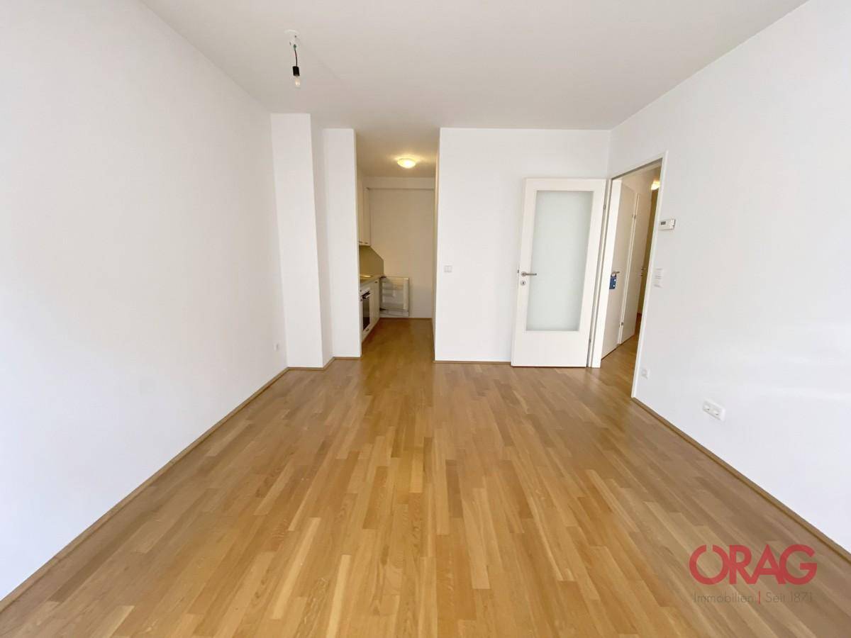 Wohnzimmer1