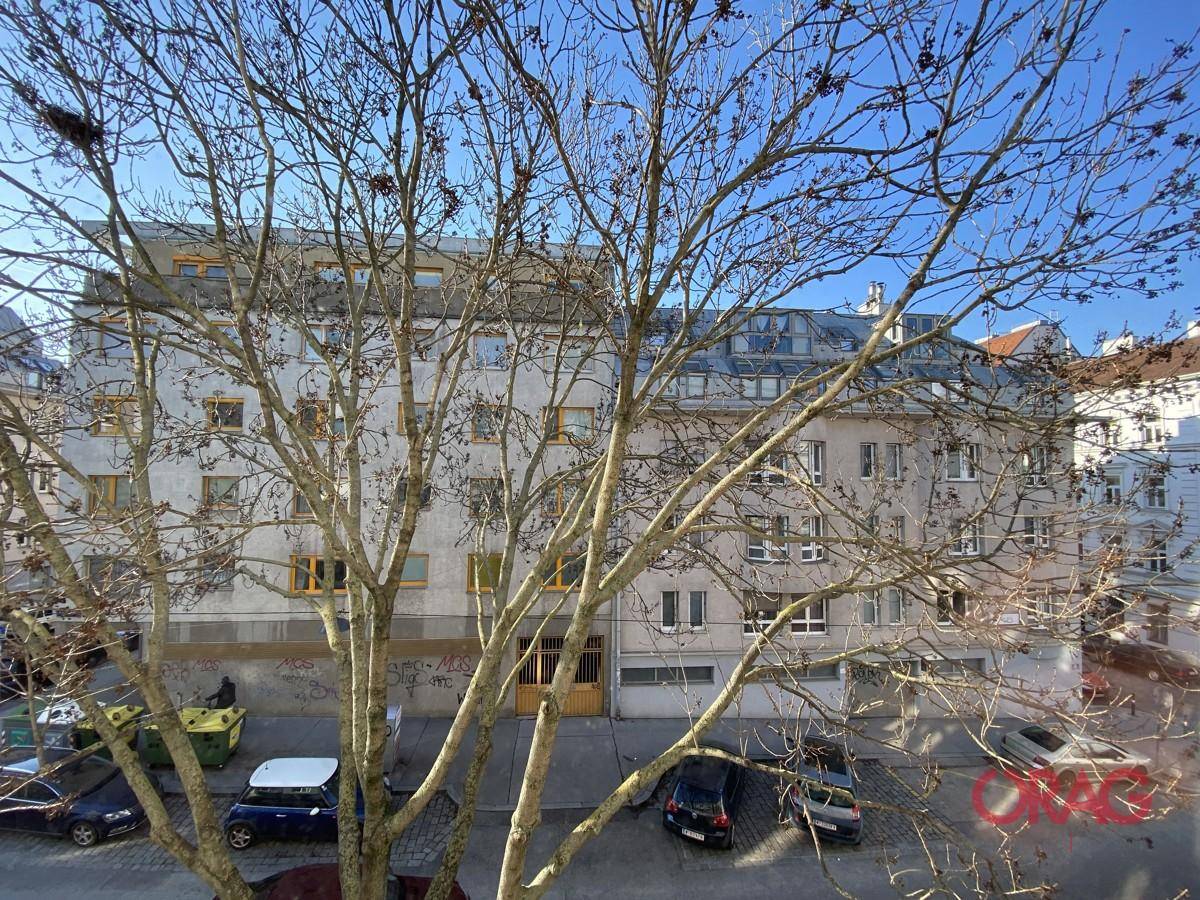 Ausblick