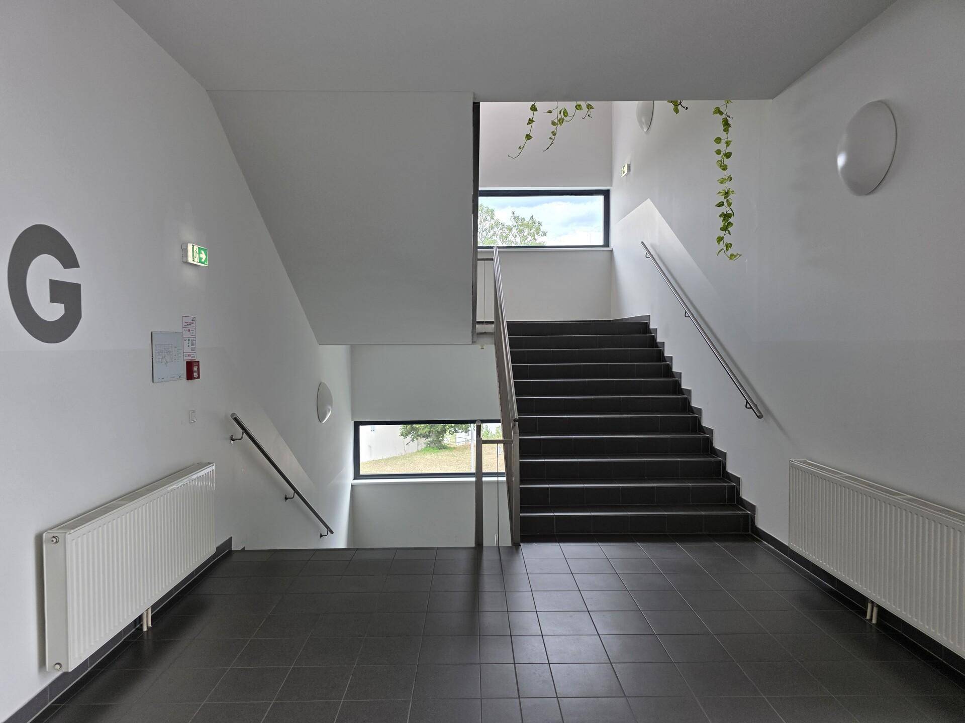 Treppe