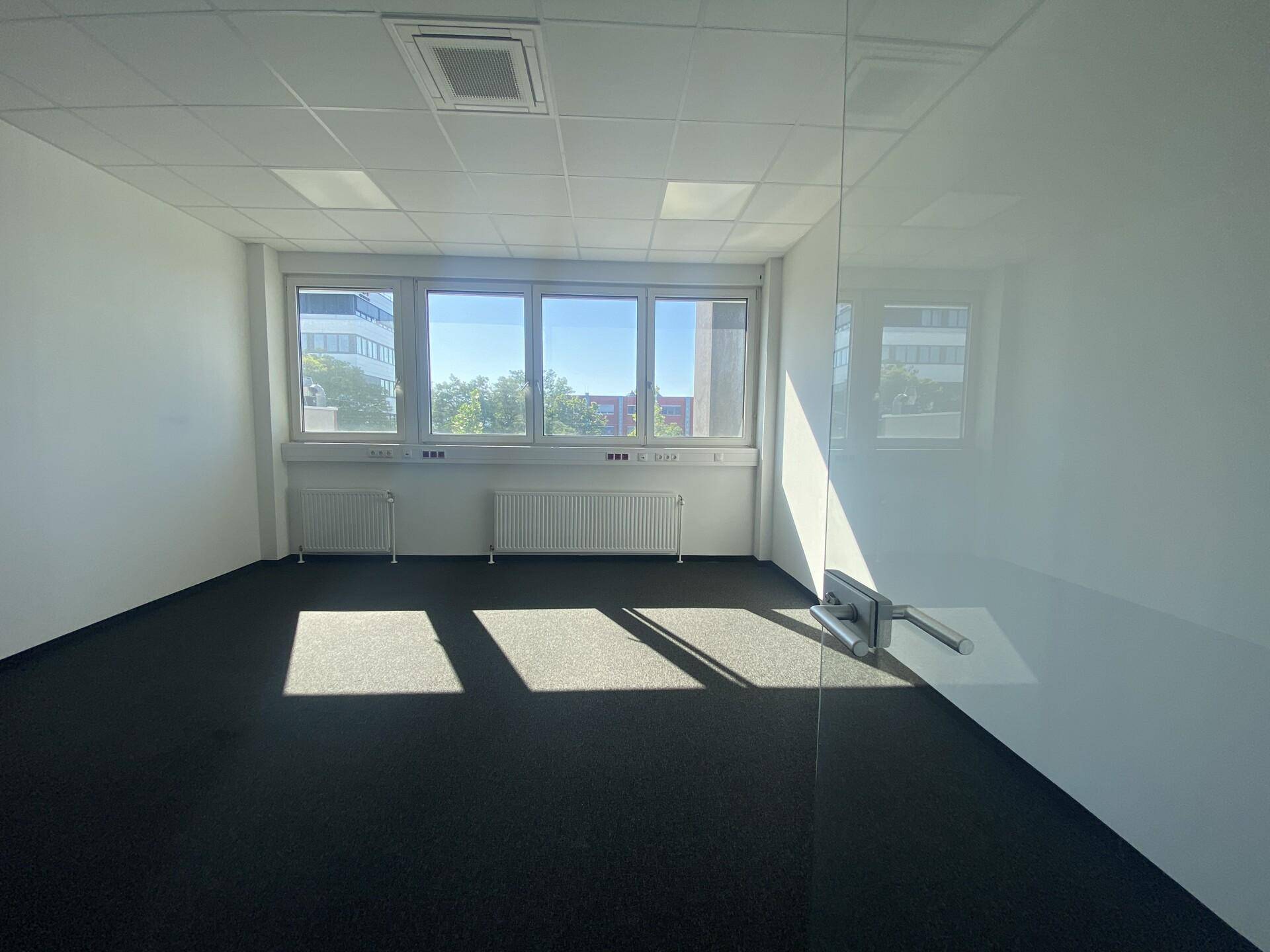 Helles und modernes Büro mit Teppichboden, großen Fenstern und viel natürlichem Licht.