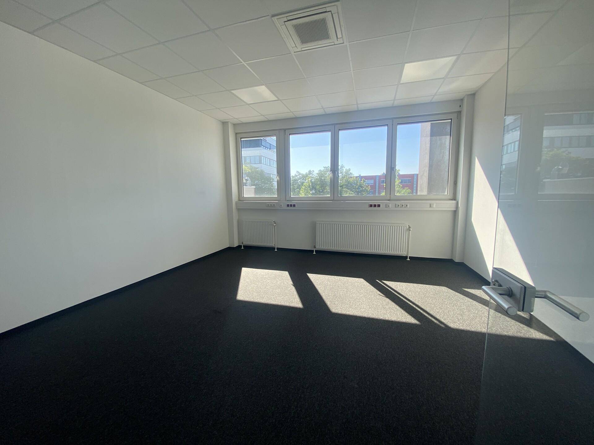 Leeres Büro mit großen Fenstern, die viel Sonnenlicht hereinlassen, Teppichboden und weißen Wänden.