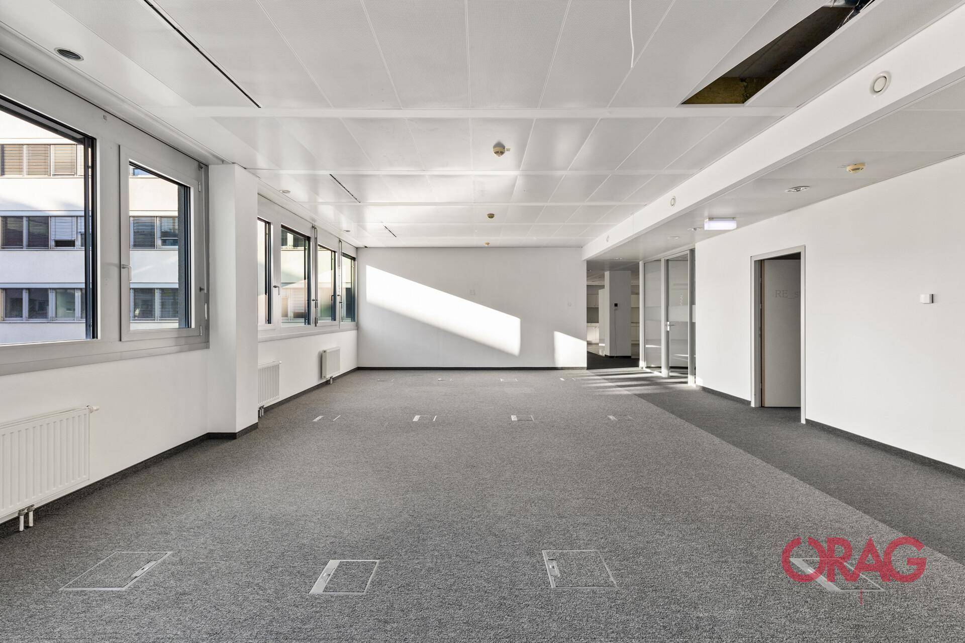 Großzügiger, leerer Büroraum mit Teppichboden, vielen Fenstern und einer modernen Deckenkonstruktion.