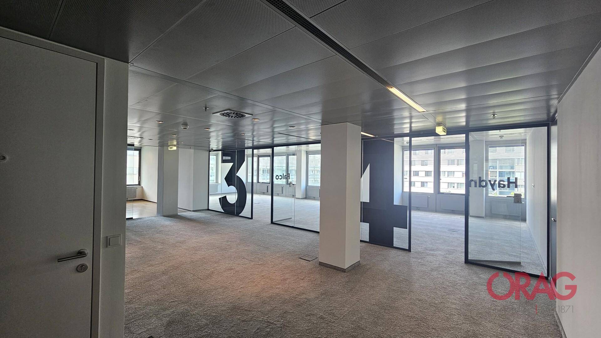 Geräumiges Büro mit Teppichboden, Glasabtrennungen und modernen Säulenstrukturen.