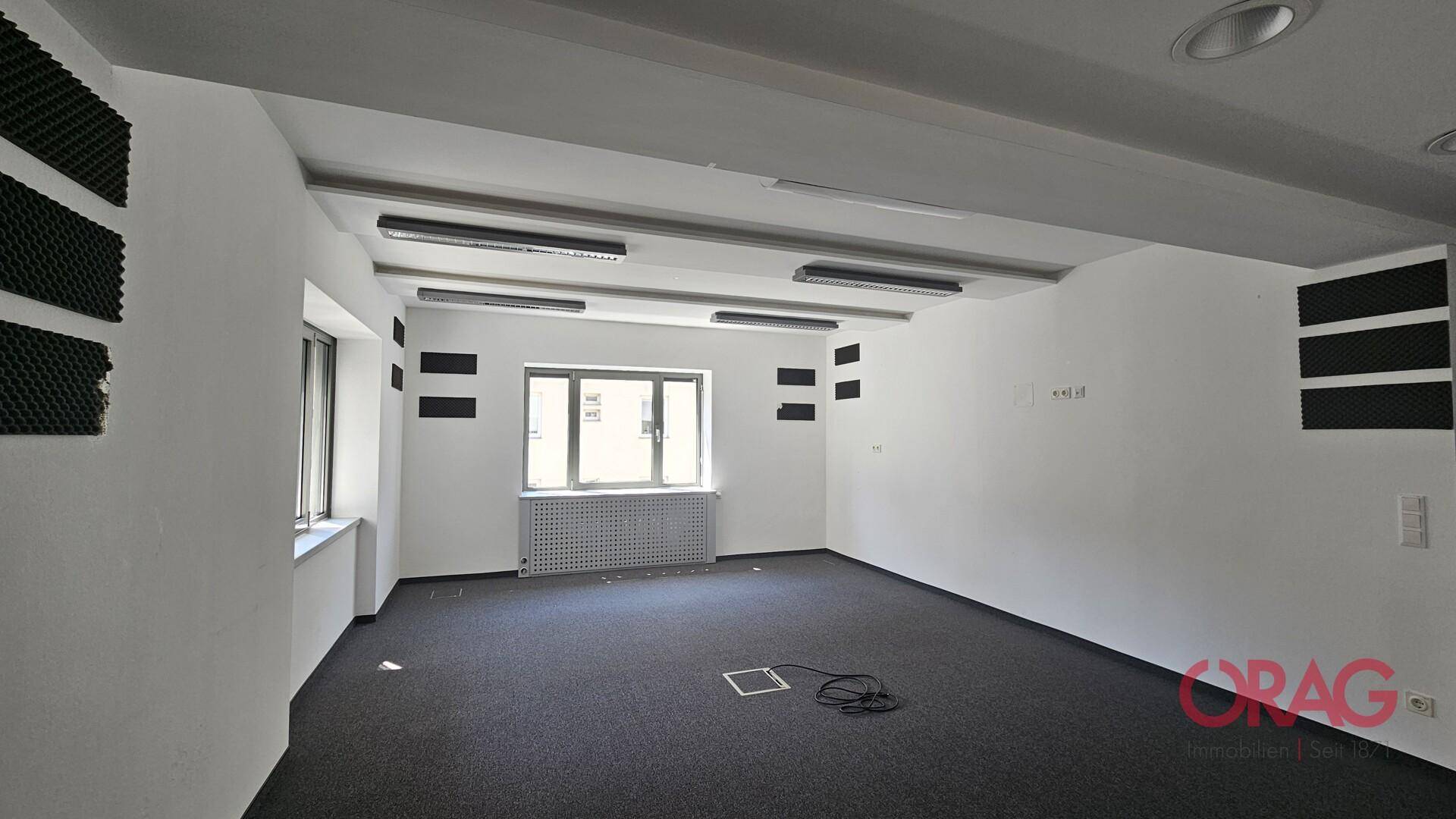 Helles Büro mit Teppichboden, mehreren Fenstern und akustischen Wandpaneelen für eine ruhige Arbeitsumgebung.