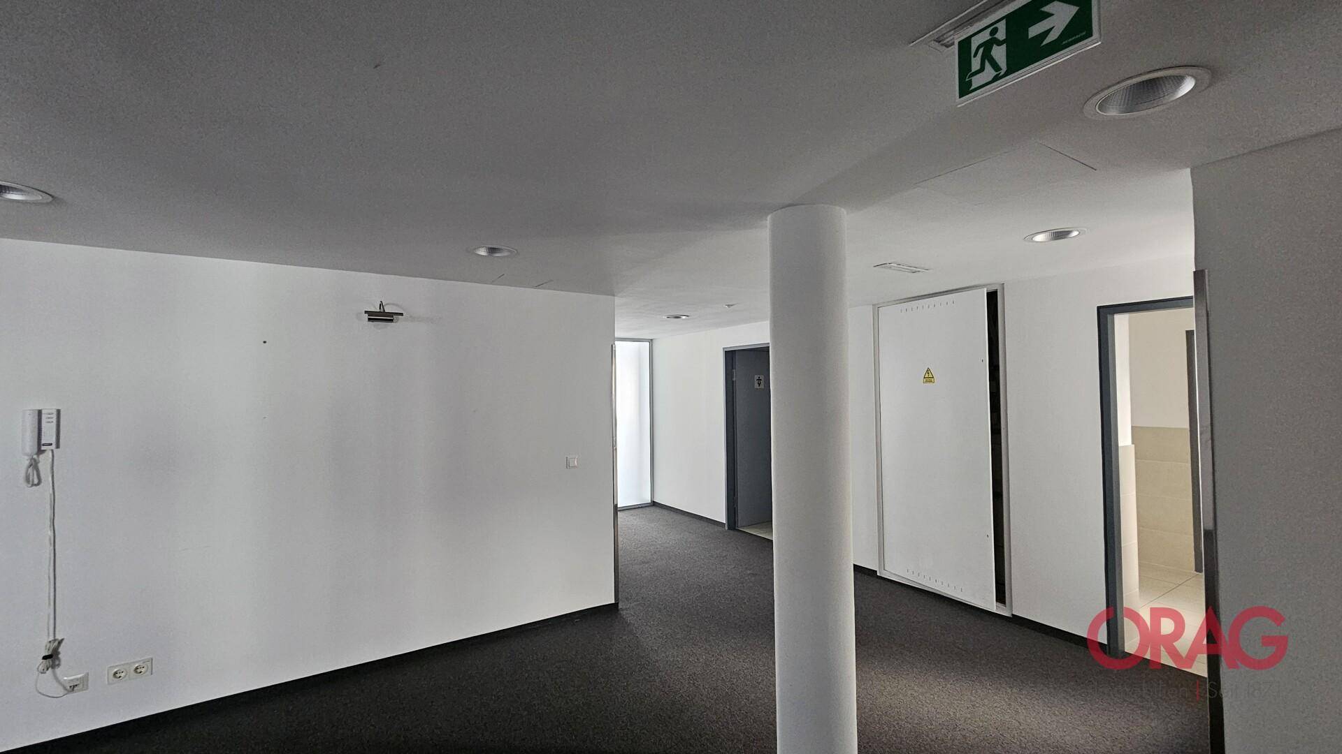 Langer Flur mit Teppichboden, weißen Wänden und mehreren Türen, der verschiedene Bürobereiche verbindet.