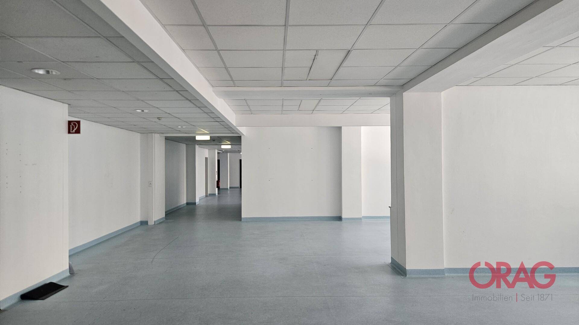 Weitläufiger, leerer Bürobereich mit weiß gestrichenen Wänden, abgehängter Decke und hellem Bodenbelag.