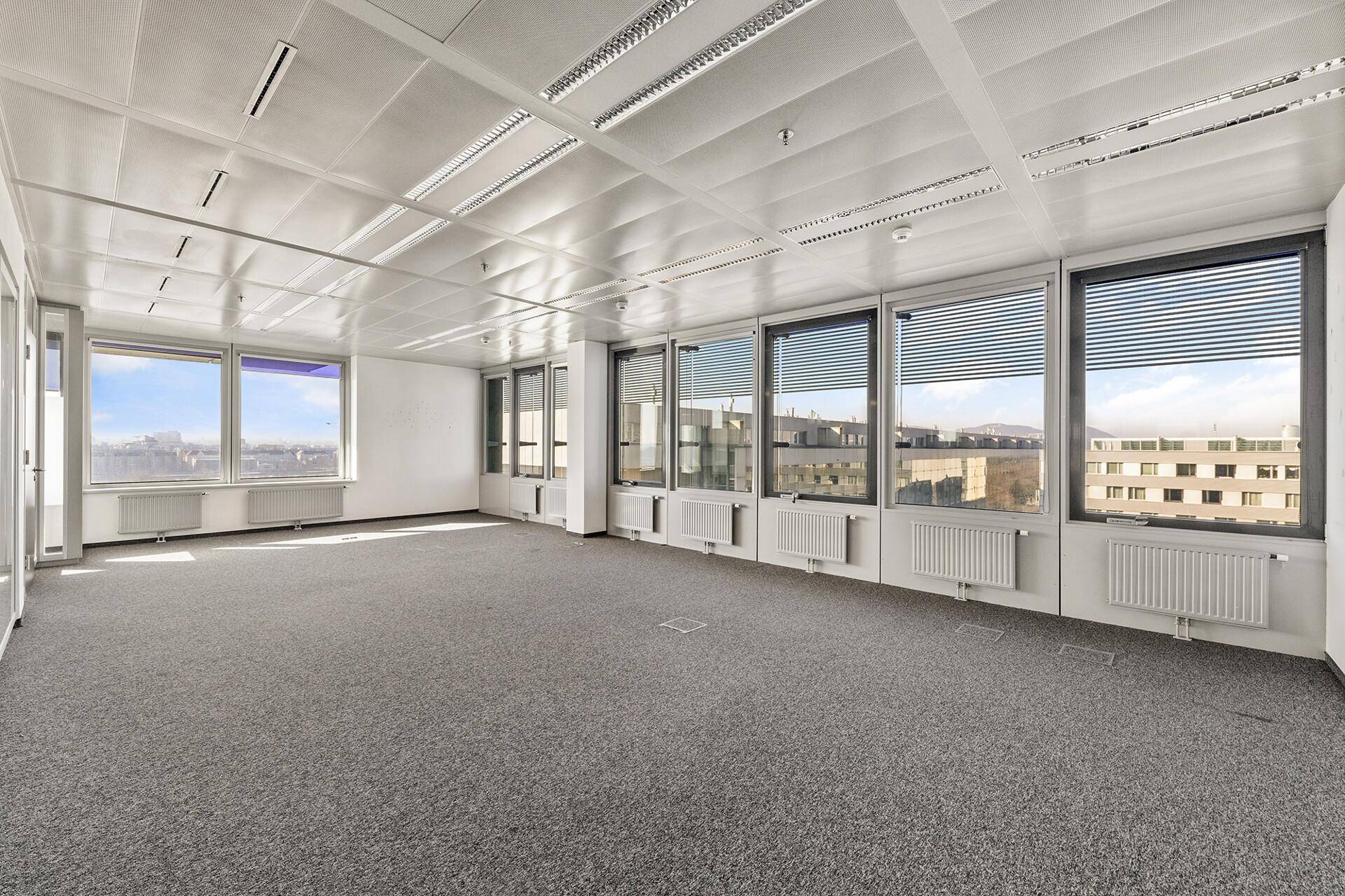 Geräumiges, leeres Büro mit Teppichboden und vielen Fenstern, die viel Tageslicht hereinlassen.