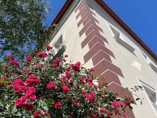Historische Gebäudefassade mit dekorativen Eckelementen und blühenden roten Rosen im Vordergrund.