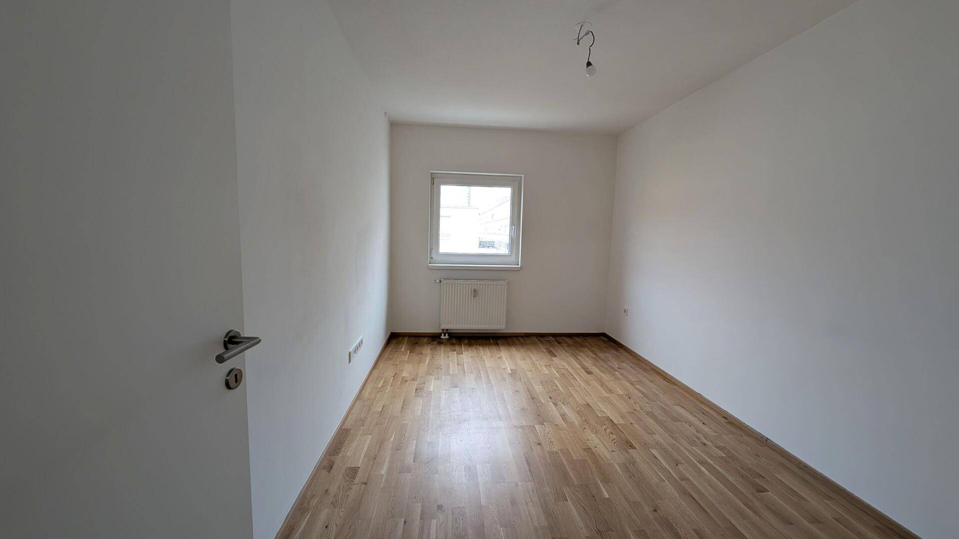 Zimmer2