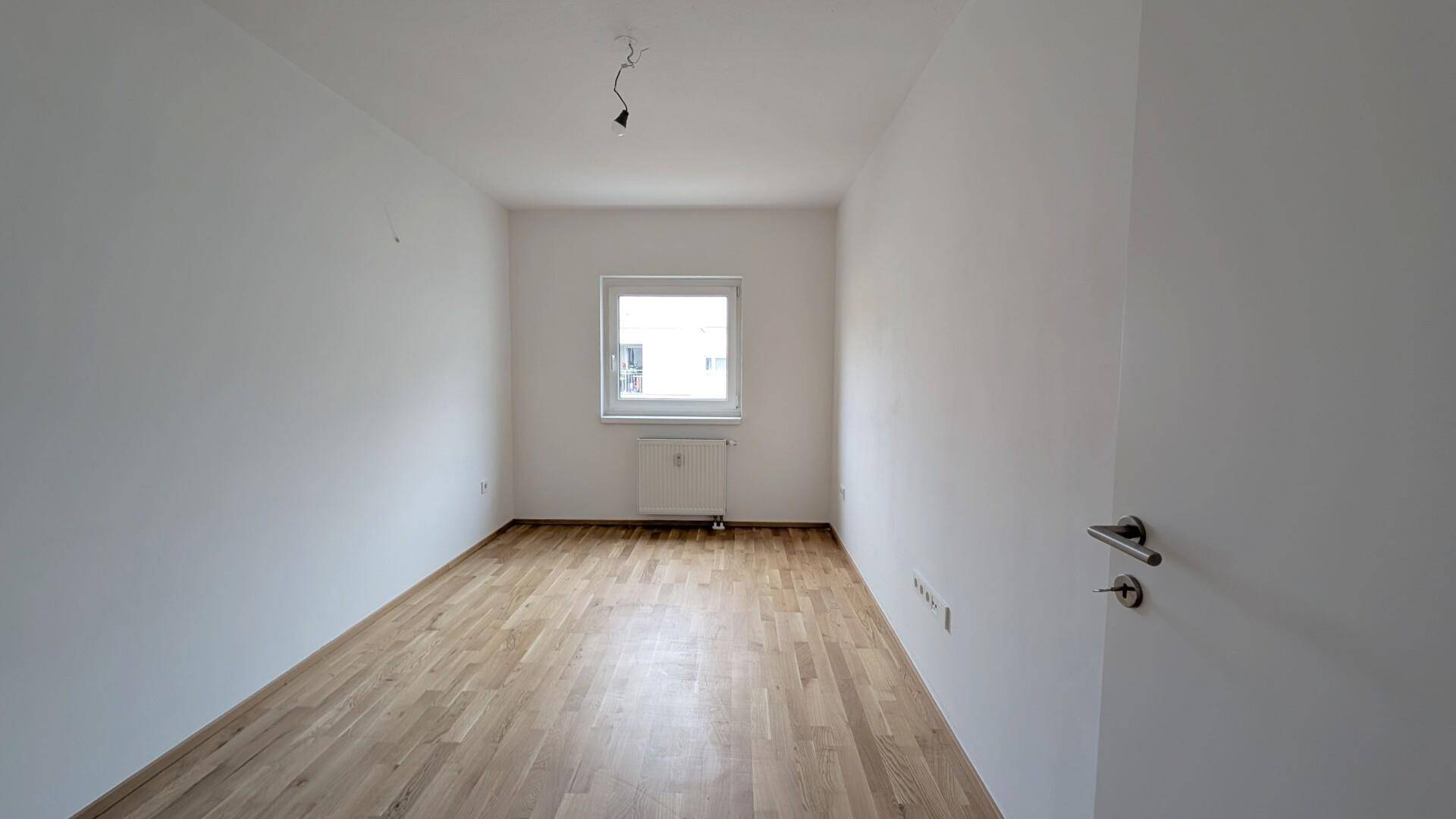 Zimmer1