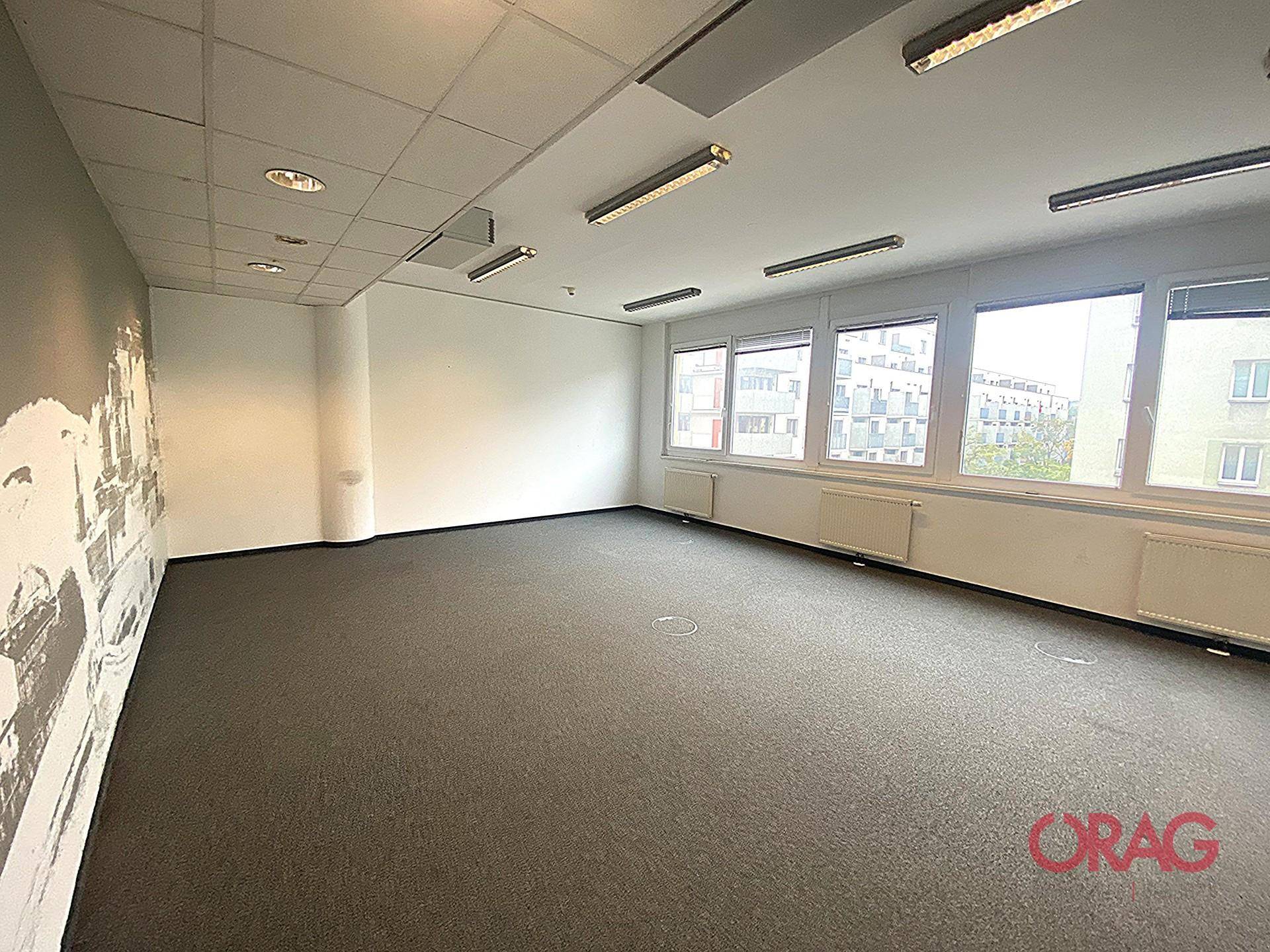 Heller Büroraum mit Teppichboden und einer langen Fensterfront, die viel Tageslicht spendet und eine weite Sicht bietet.