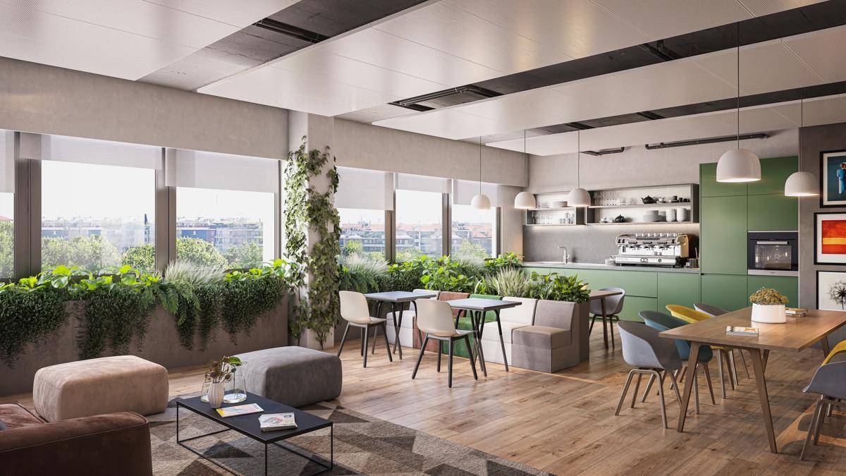 Gemütlicher Lounge-Bereich mit integrierter Küchenzeile, Holzboden und vielen Pflanzen für eine entspannte Atmosphäre.