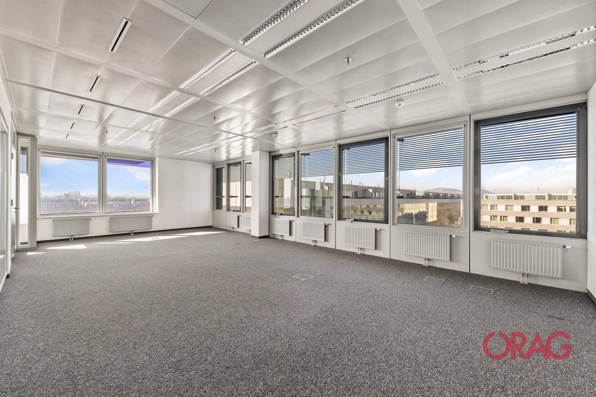 Großes, leeres Büro mit vielen Fenstern, Teppichboden und viel Tageslicht, bereit zur Einrichtung.