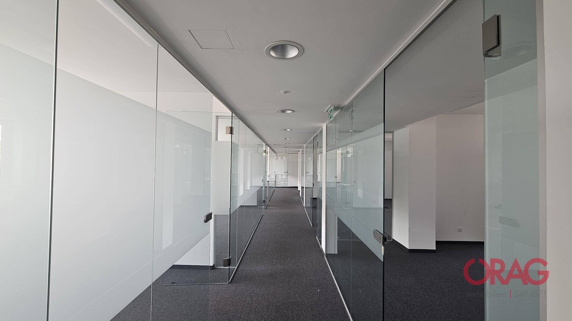 Moderner Büroflur mit Glaswänden und Teppichboden, der eine helle und offene Atmosphäre schafft.