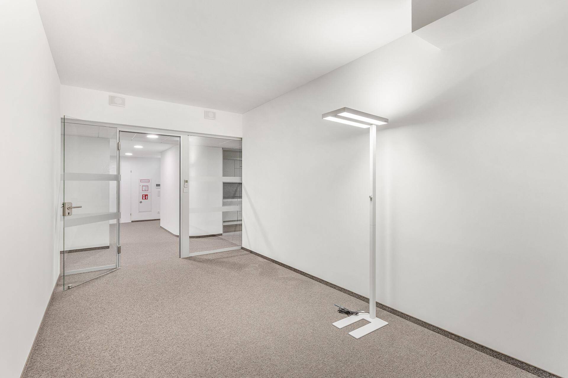 Heller Flurbereich in einem Bürogebäude mit Teppichboden und modernen Glastüren.