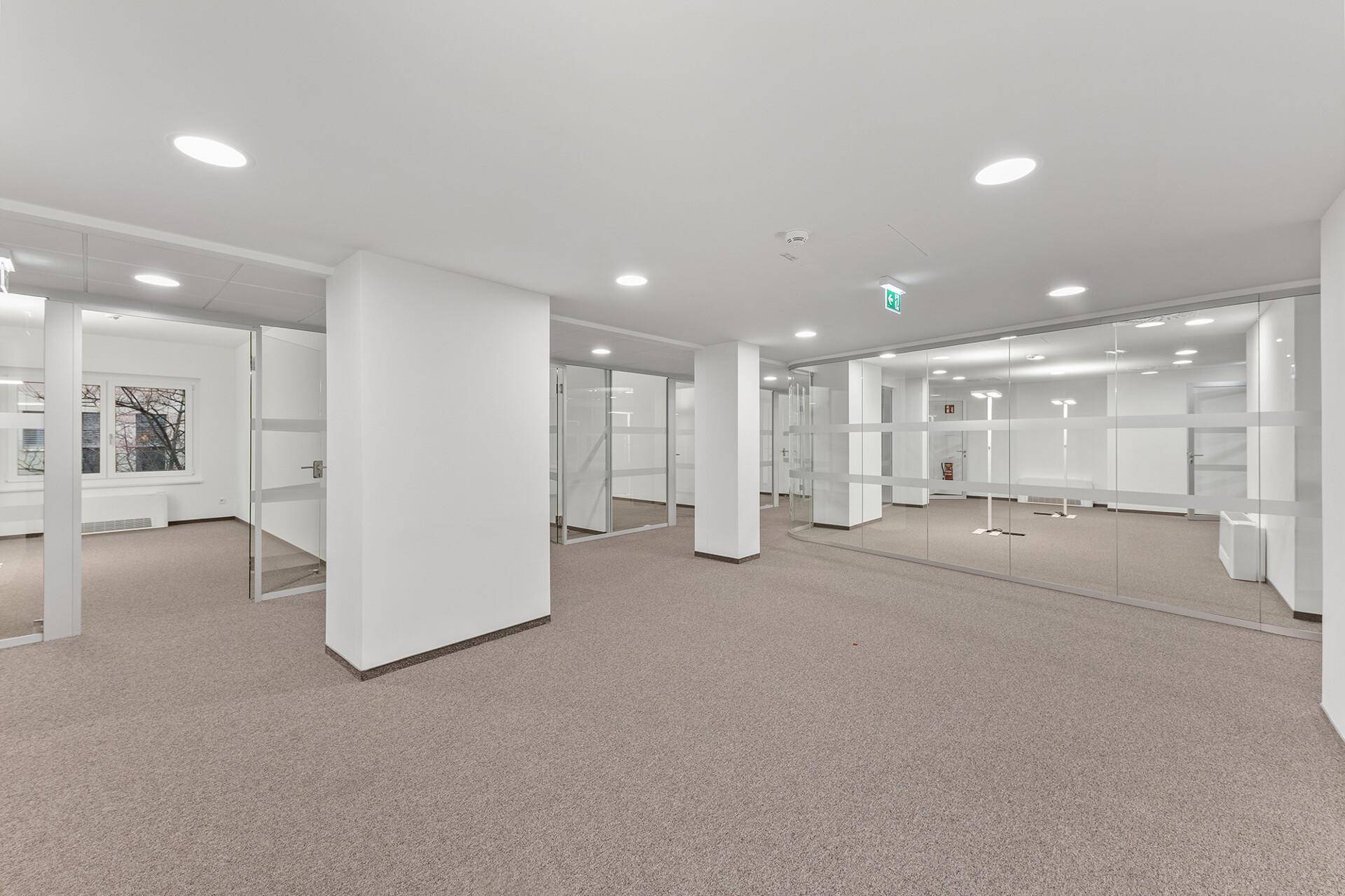 Großzügiger Bürobereich mit Teppichboden und modernen Glaswänden für flexible Raumgestaltung.