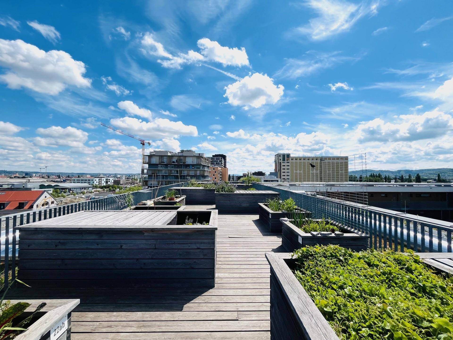 Große Dachterrasse mit Holzbelag und bepflanzten Hochbeeten, bietet weite Stadtblicke.
