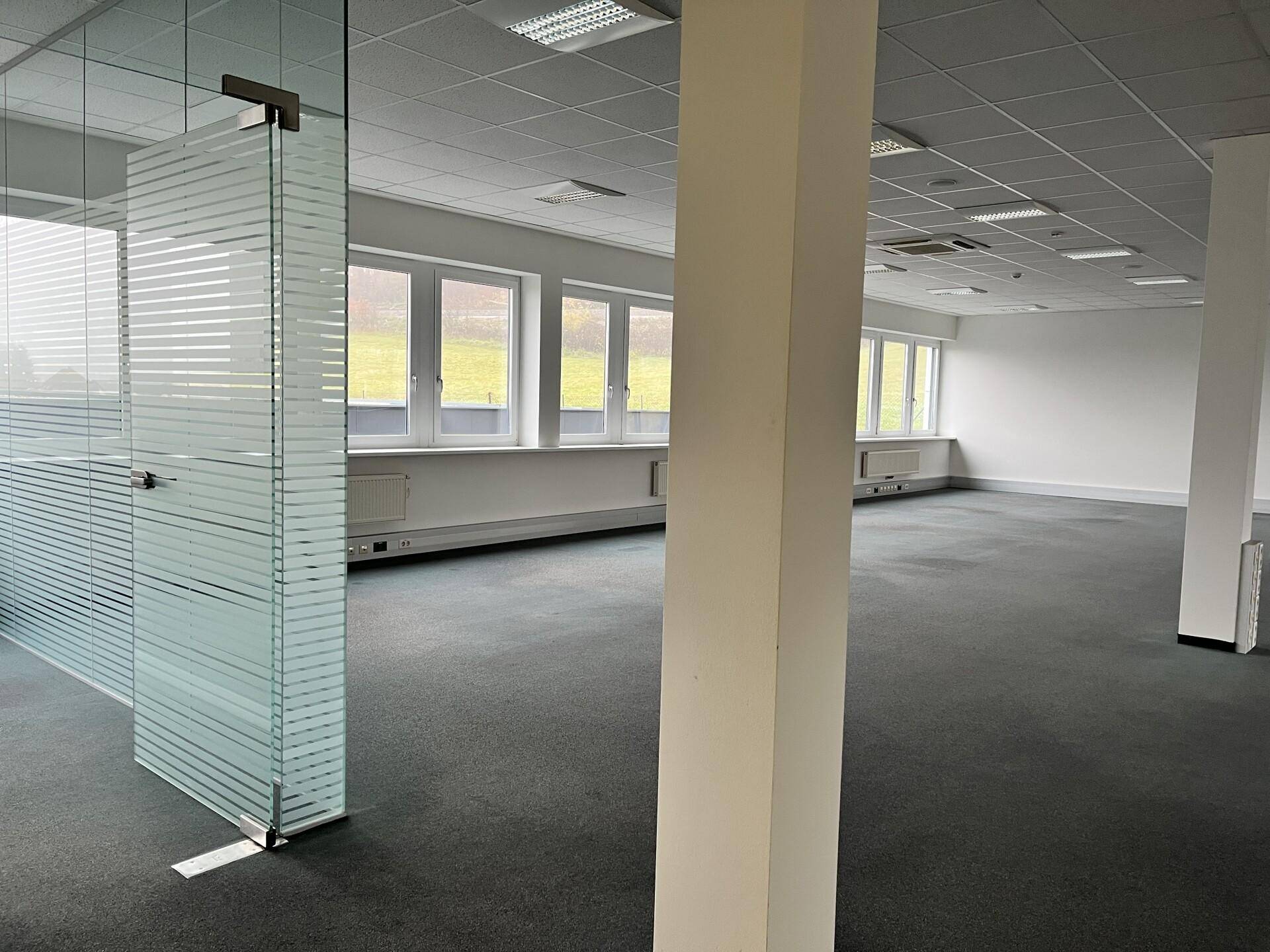 Großes, offenes Büro mit Teppichboden, Glaswand und vielen Fenstern für natürliches Licht.