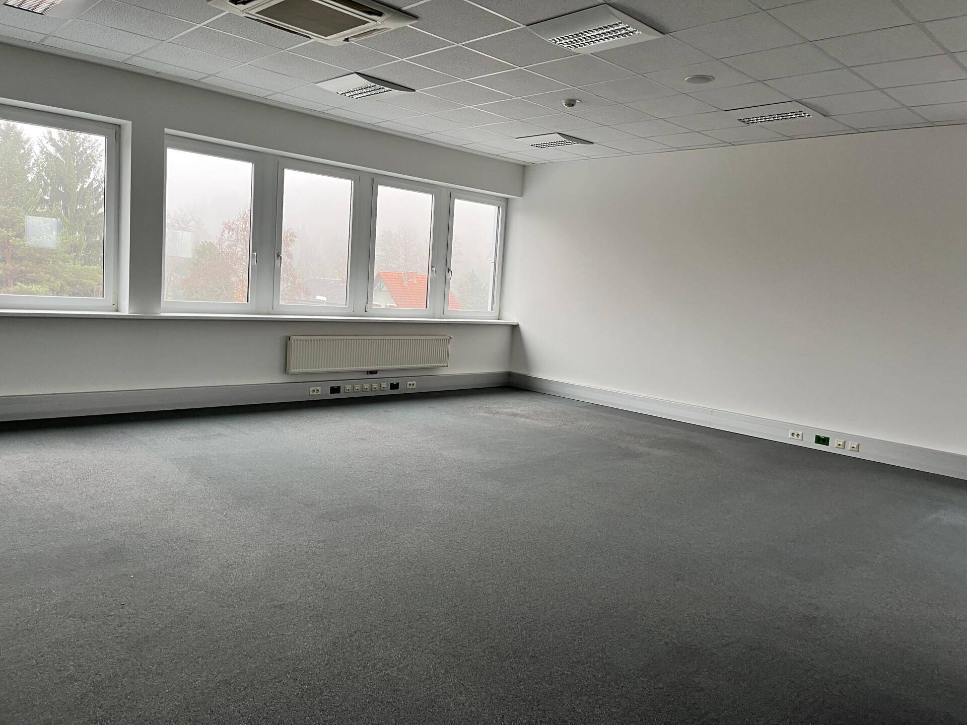 Helles Büro mit Teppichboden und einer Reihe von Fenstern, die viel Tageslicht hereinlassen.