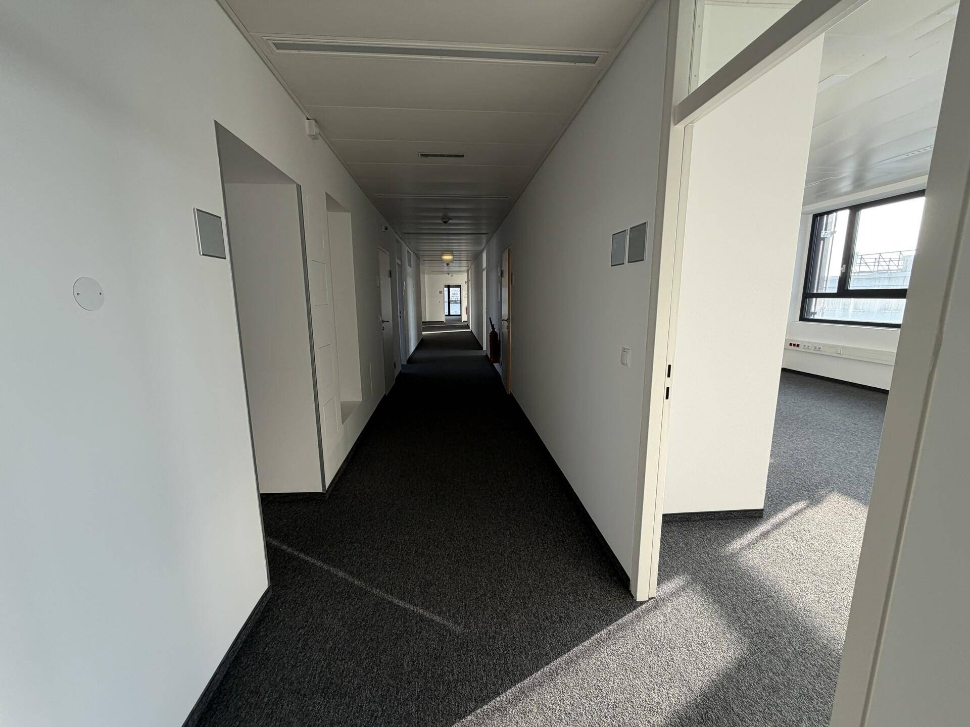 Langer, heller Flur mit Teppichboden, der zu weiteren Büroräumen führt und gut beleuchtet ist.