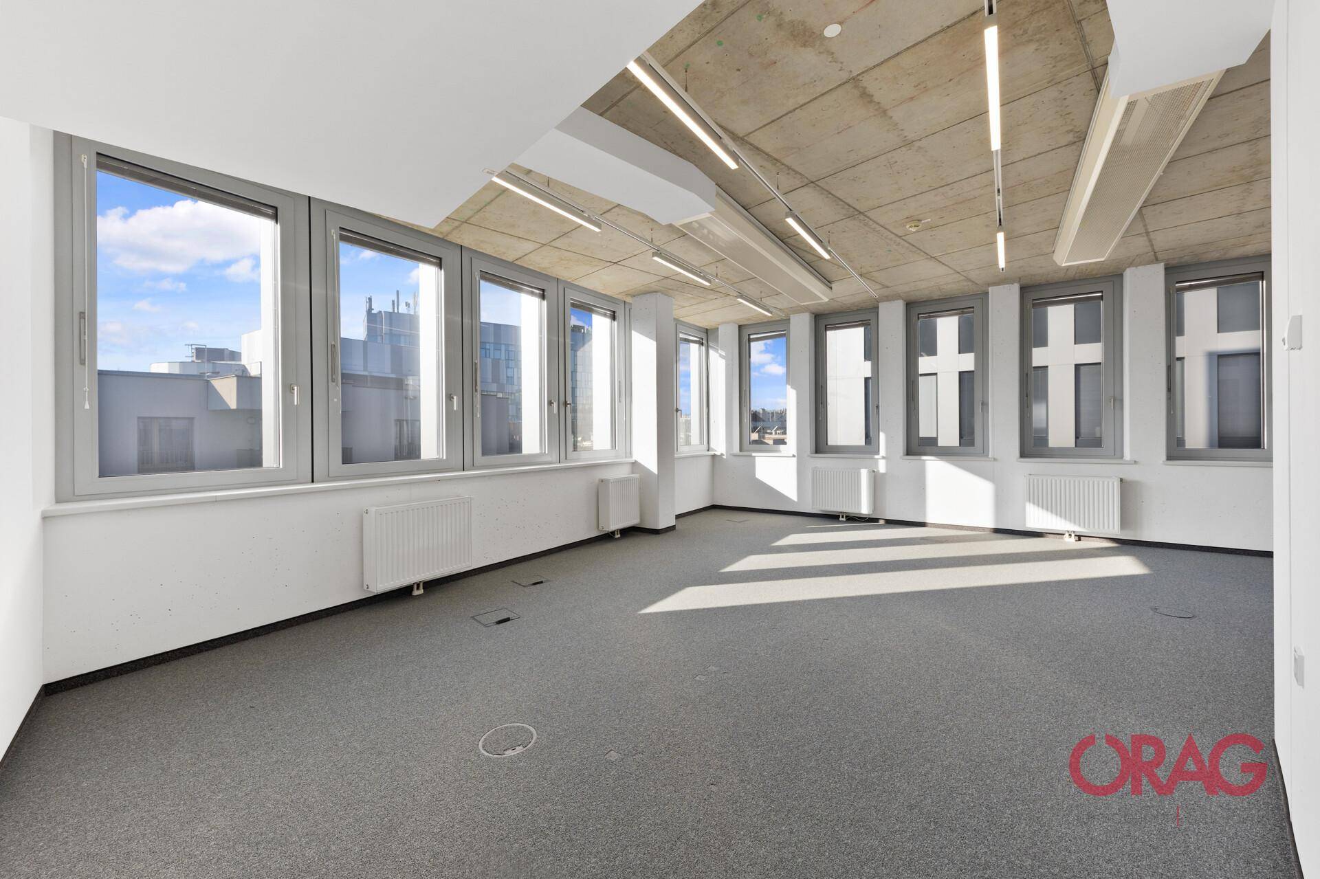 Heller Büroraum mit vielen Fenstern, Teppichboden und sichtbarer Betondecke, ideal für Arbeitsbereiche.